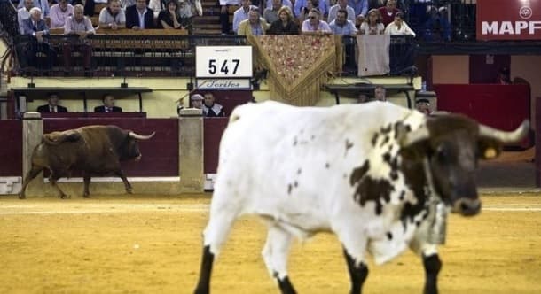 Toros en la Plaza del Pilar de Zaragoza