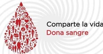 Requisitos para poder donar sangre y proceso de la donación