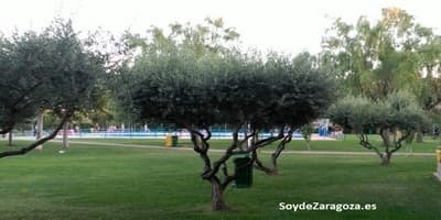 Piscina en el Centro Deportivo Municipal de Santa Isabel