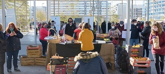 Mercadillos, Ferias y Foodtrucks en las Fiestas del Pilar 2026