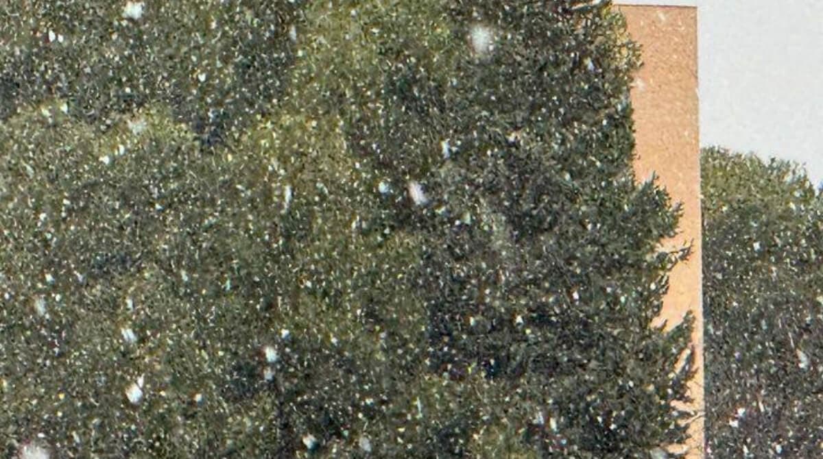 nieve borrasca juan zaragoza