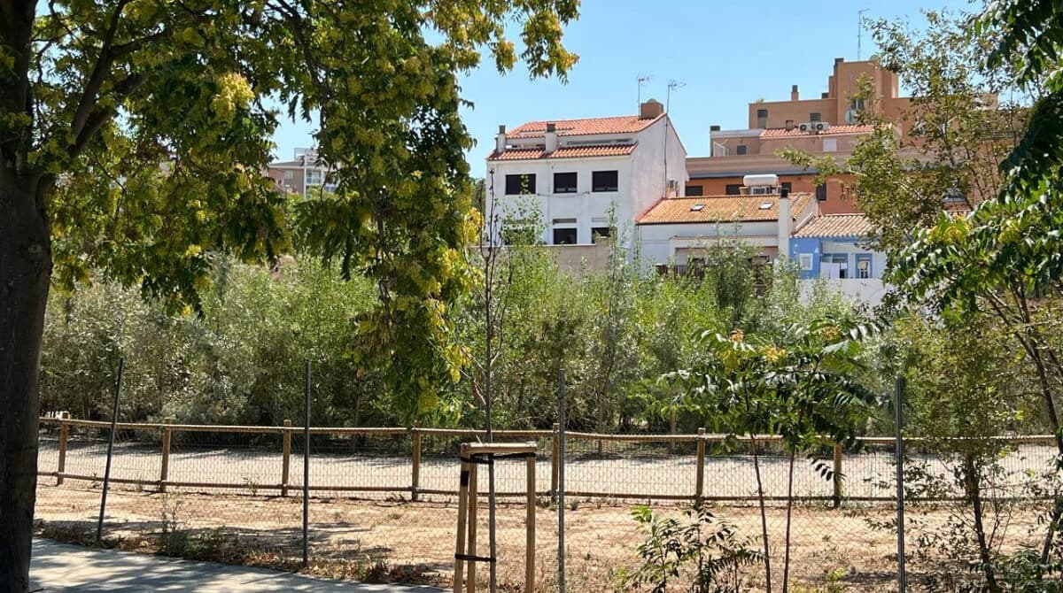 Bosque Japonés en la ciudad de Zaragoza