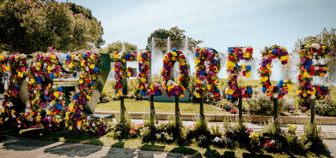 Guía de Zaragoza Florece