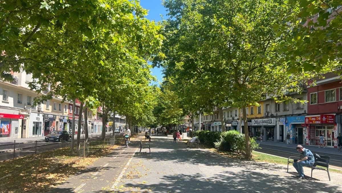 Bajada de temperaturas en Zaragoza