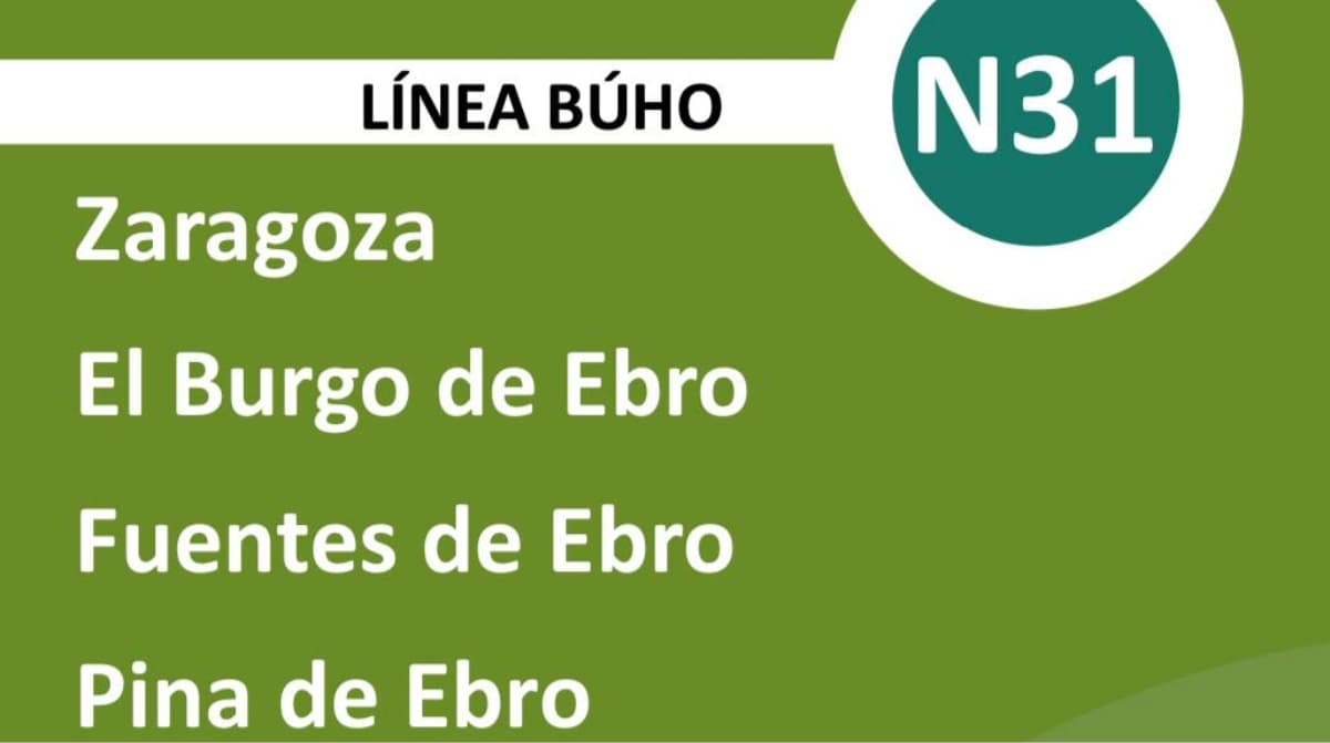 buho n31 zaragoza