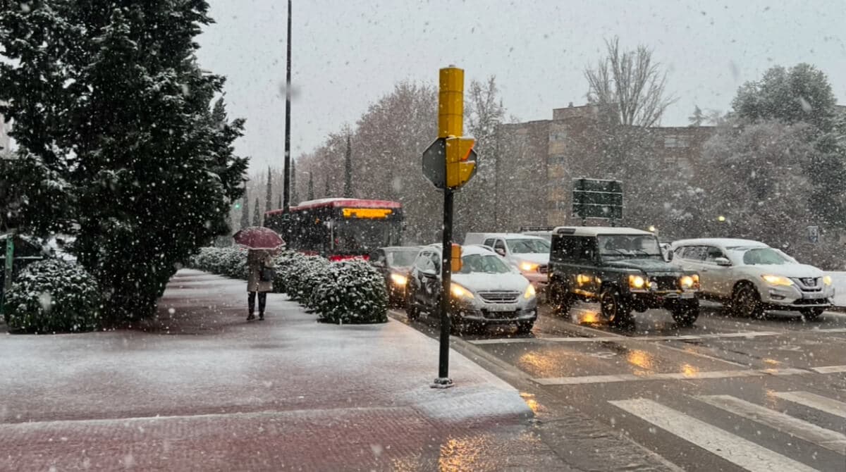 Webcams en directo en Zaragoza.