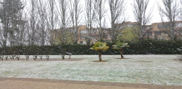 Fotos y vídeos de la nevada en Zaragoza del 14 de marzo del 2016
