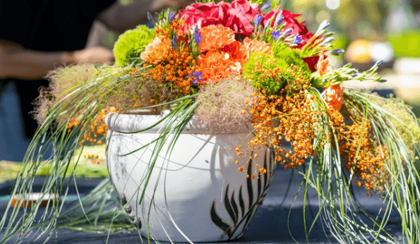 Programa de Zaragoza Florece