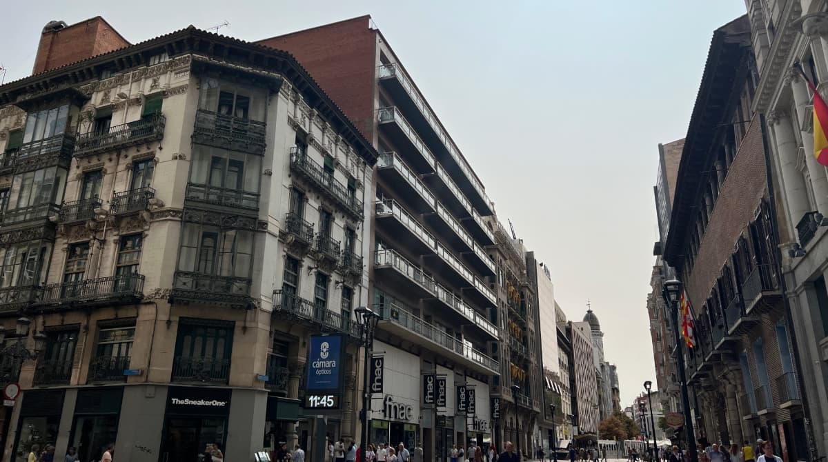 Guarricie en el suelo de Zaragoza