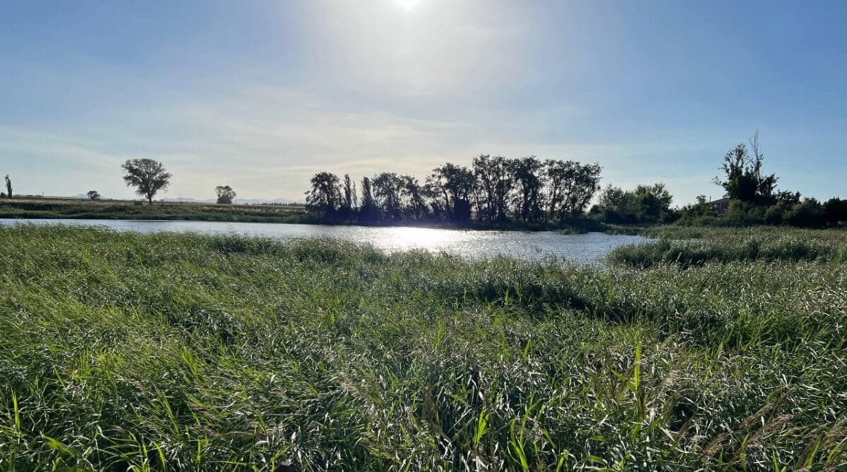 Balsa de Larralde en Zaragoza