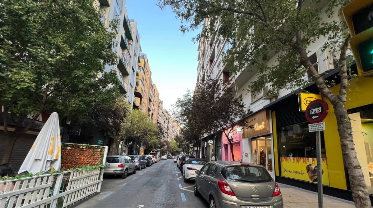Una de las mayores cadenas europeas de jardinería abrirá una tienda en el centro de Zaragoza