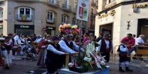 Normas en la Ofrenda de Flores de Zaragoza 2016