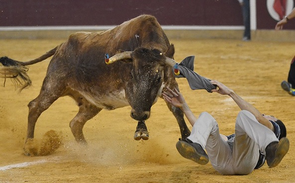 Vaquillas en la Plaza de Toros en los Pilares 2022