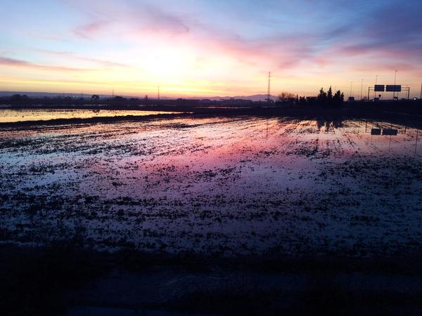 Imagen de A. Ruiz con el atardecer reflejado en el agua