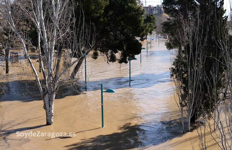 arboleda-macanaz-crecida-ebro