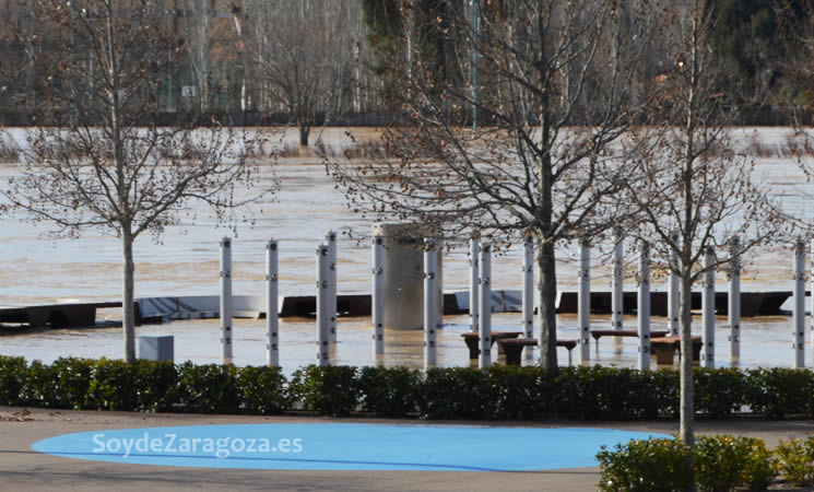 bosque-sonidos-expo-inundado