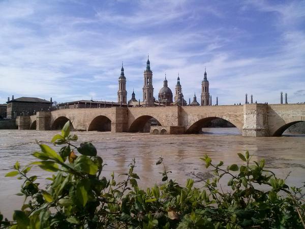 mirada-curiosa-ebro-puente-piedra-pilar