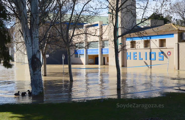 patos-puerta-helios-inundaciones