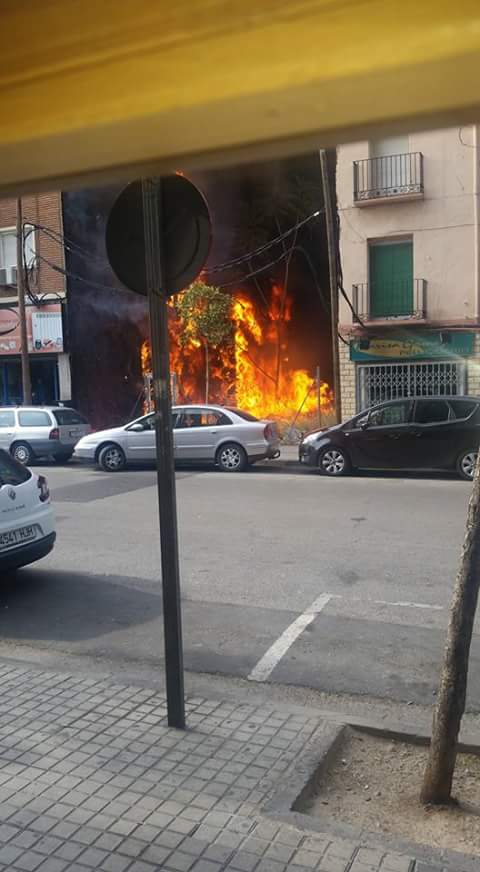 incendio-san-jose-ola-de-calor