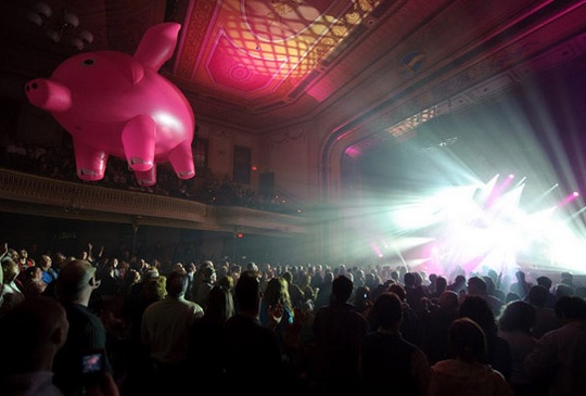 pink-floyd-experience-live-zaragoza