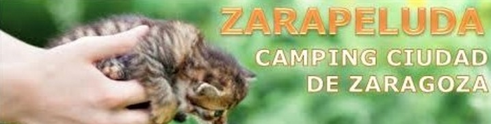 zarapeluda-zaragoza-camping