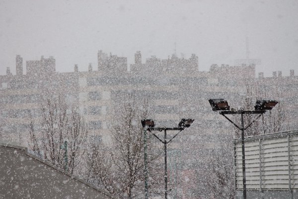 Ha nevado copiosamente en Zaragoza. Foto de @IreneThunders
