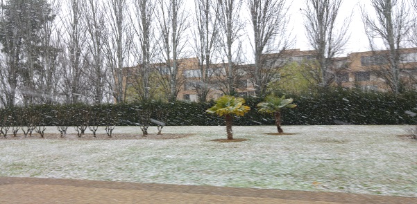 Nevando en la zona de La Floresta, en la prolongación de Gomez Laguna en Zaragoza