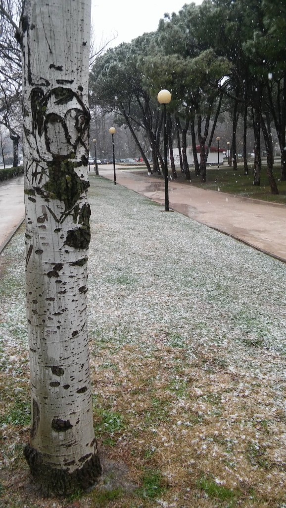 Nieve en el Parque Grande por @adrizgz96