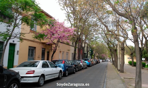 ciudad-jardin-parcelas-viviendas (1)