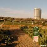 huertos-parque-del-agua