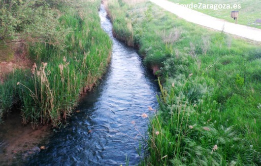 meando-rio-huerva-zaragoza