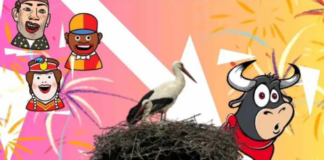 Programa de Fiestas de San Juan de Mozarrifar 2026 fiestas san juan de mozarrifar programacion