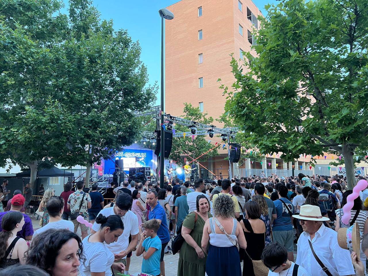 Fiestas Rosales del Canal 2025